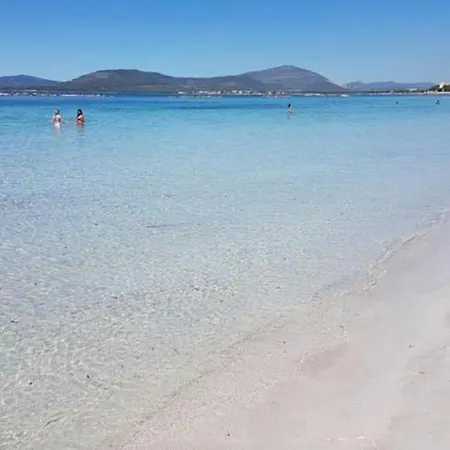 Trilocale In Seminterrato A 150mt Da Lido Alghero