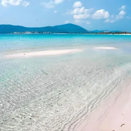 Apartament Trilocale In Seminterrato A 150mt Da Lido *